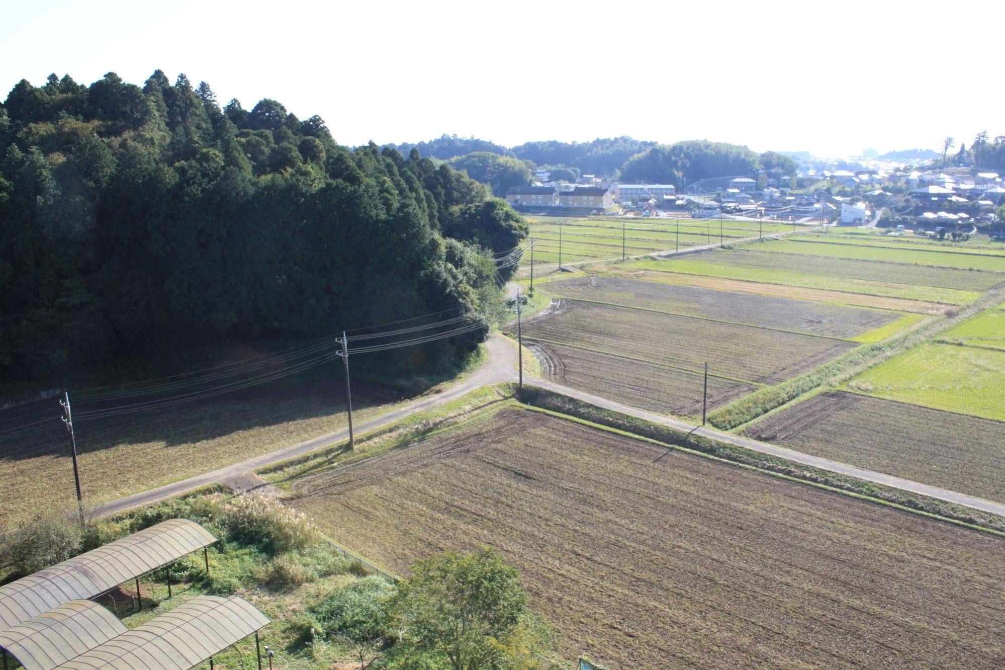 International Garden